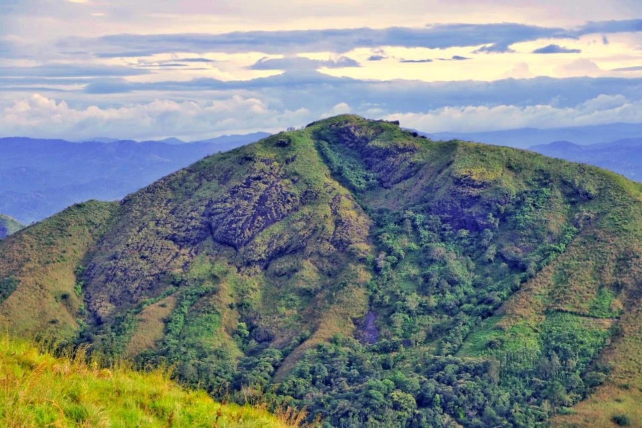 Wild Mist Homestay Мунар Екстериор снимка